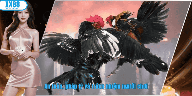 An toàn, pháp lý và trách nhiệm người chơi