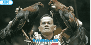 Ảnh đại diện đá gà philippines