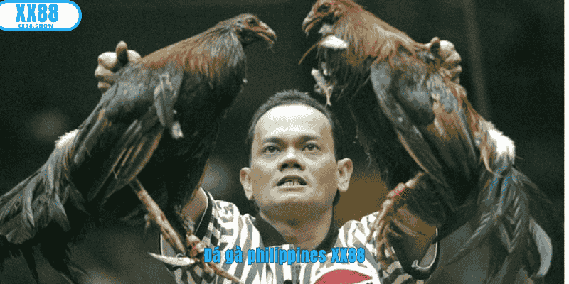 Ảnh đại diện đá gà philippines