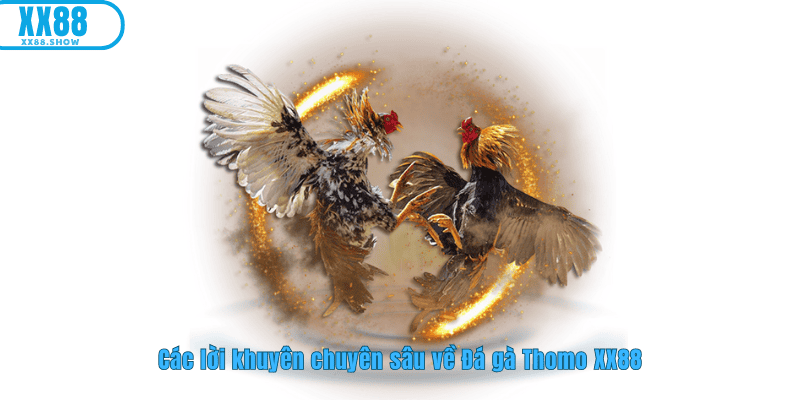 Lời khuyên của những chuyên gia hàng đầu Việt Nam