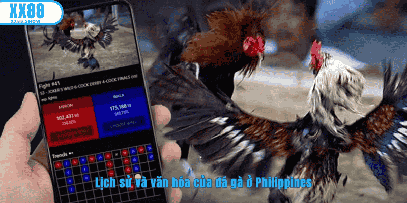 Tìm hiểu về lịch sử và văn hóa của đá gà ở Philippines